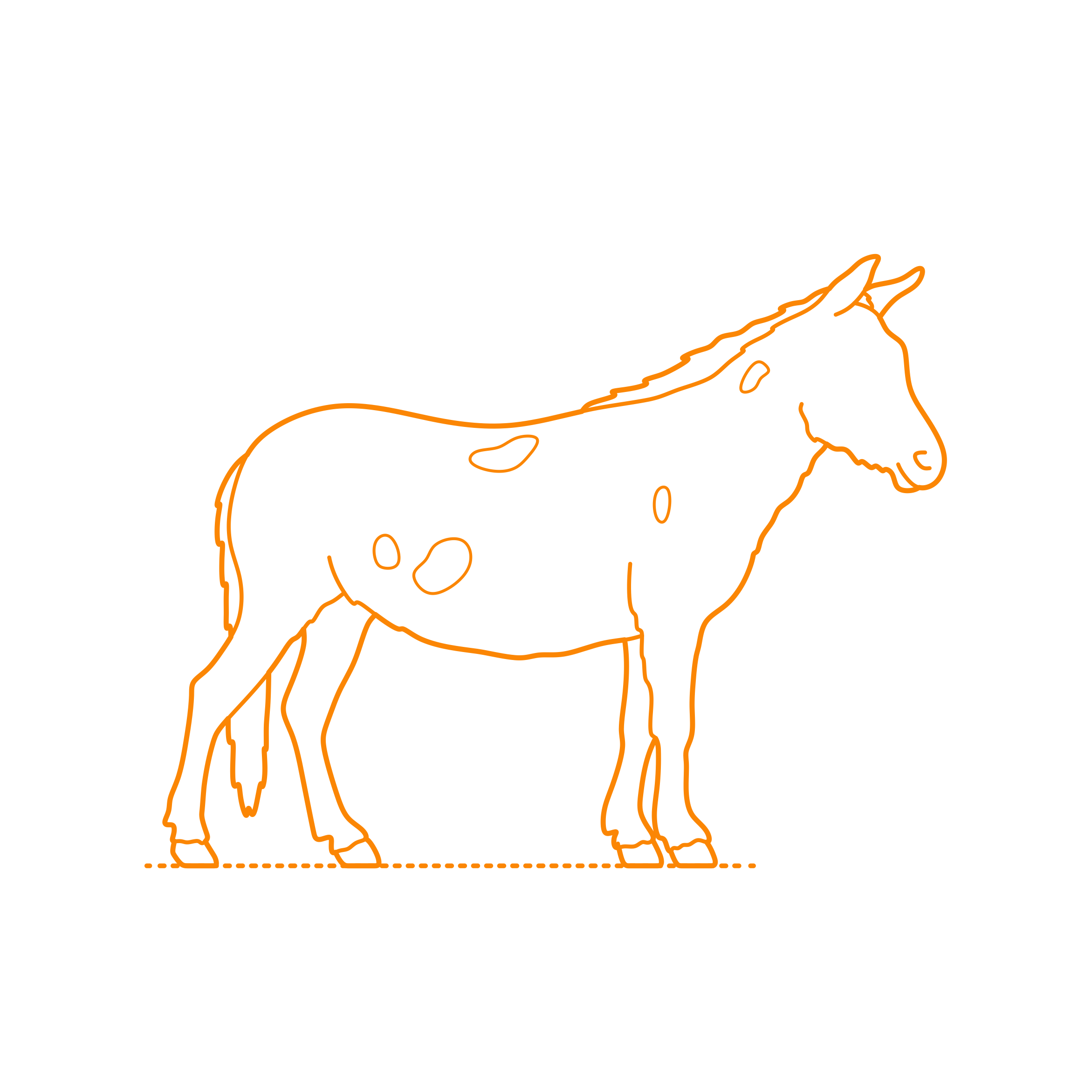Animals Equines Hinny Craft Design Svg File Free Vectors
